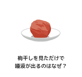 梅干しを見ただけで 唾液が出るのはなぜ？